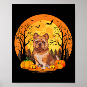 Pumpkin With Funny Halloween Costume Brussels Poster
