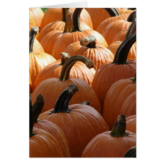 Pumpkins (Front)