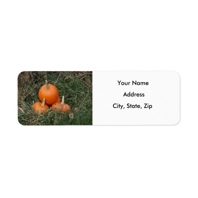 Pumpkins (Front)