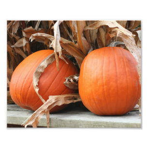 Pumpkins And Dried Corn Stalks Autumn 8x10 Photo Print