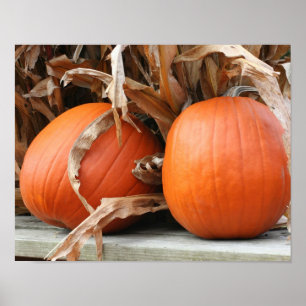 Pumpkins And Dried Corn Stalks Autumn Poster
