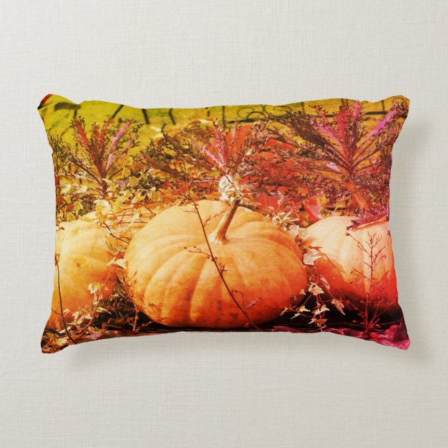 Pumpkins And Fall Plants   Decorative Cushion (Front)