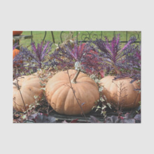 Pumpkins And Fall Plants Decoupage  Tissue Paper
