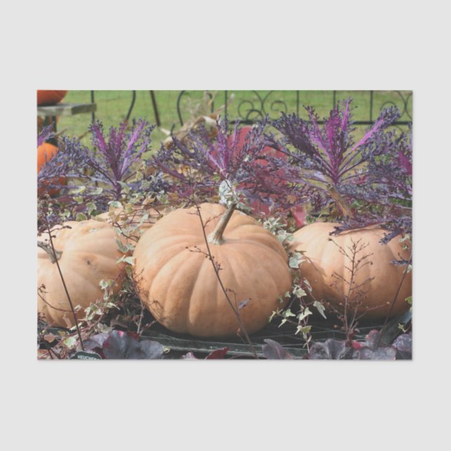 Pumpkins And Fall Plants Decoupage  Tissue Paper (Front)