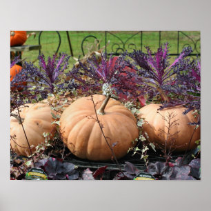 Pumpkins And Fall Plants Farm Stand Poster