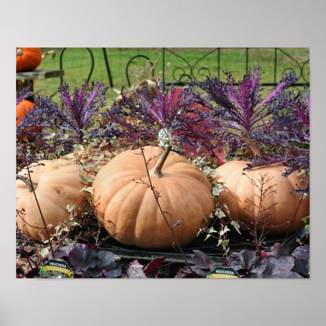 Pumpkins And Fall Plants Farm Stand Poster (Front)
