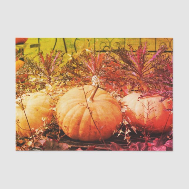 Pumpkins And Fall Plants Vintage Decoupage Tissue Paper (Front)