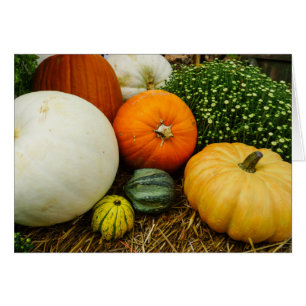 Pumpkins And Gourds