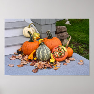 Pumpkins and Gourds, Kennebunkport, Maine Poster