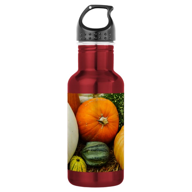 Pumpkins And Gourds Stainless Steel Water Bottle (Front)
