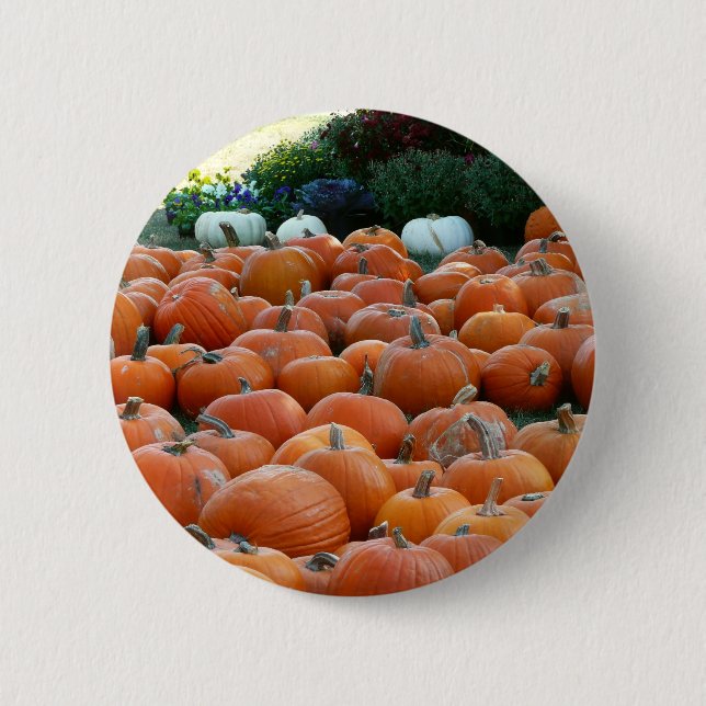 Pumpkins and Mums Autumn Harvest Photography 6 Cm Round Badge (Front)