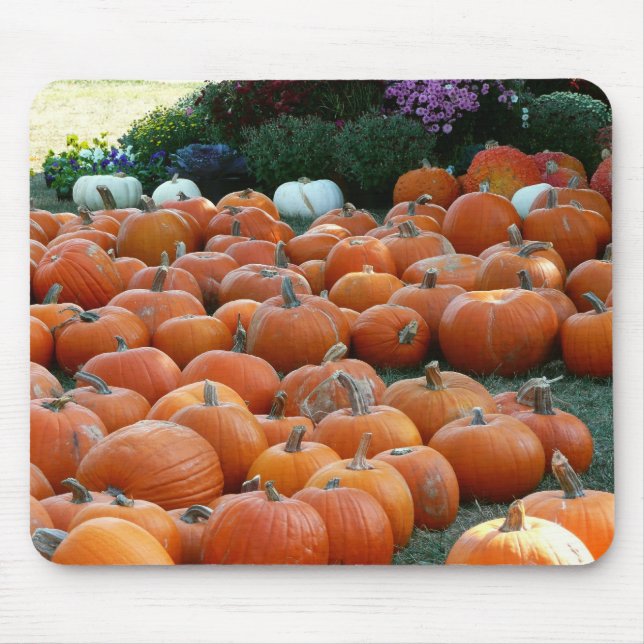 Pumpkins and Mums Autumn Harvest Photography Mouse Mat (Front)