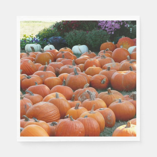 Pumpkins and Mums Autumn Harvest Photography Napkin (Front)