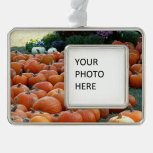 Pumpkins and Mums Autumn Harvest Photography Silver Plated Framed Ornament
