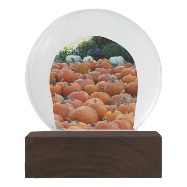 Pumpkins and Mums Autumn Harvest Photography Snow Globe (Front)