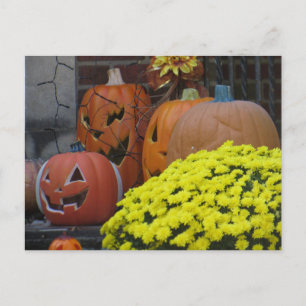 Pumpkins and Mums Postcard