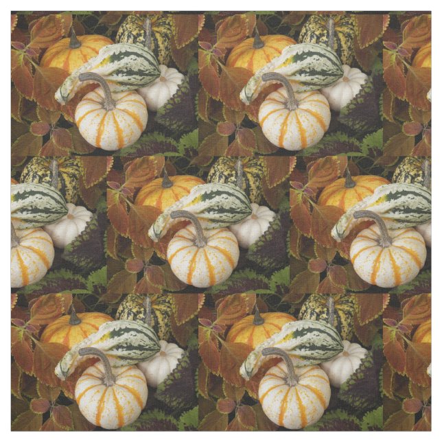 Pumpkins and Squash Still Life Photo Fabric (Swatch)