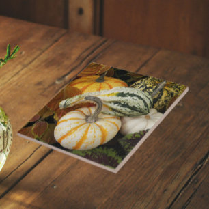 Pumpkins and Squash Still Life Photo Tile