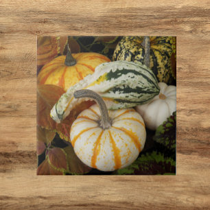 Pumpkins and Squash Still Life Photo Tile