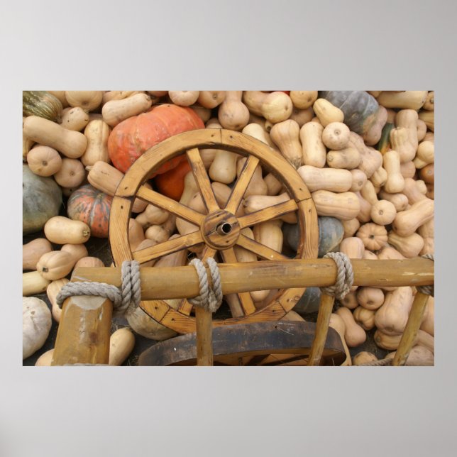 Pumpkins and Wheel of the rural wooden cart Poster (Front)