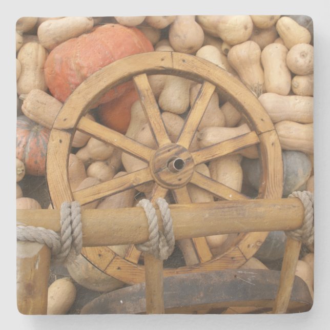 Pumpkins and Wheel of the rural wooden cart Stone Coaster (Front)