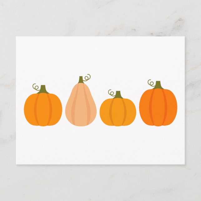 Pumpkins autumn illustration  postcard (Front)