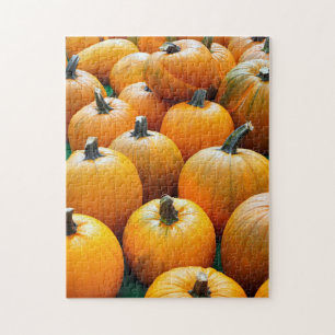 pumpkins autumn jigsaw puzzle