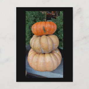Pumpkins Autumn postcard