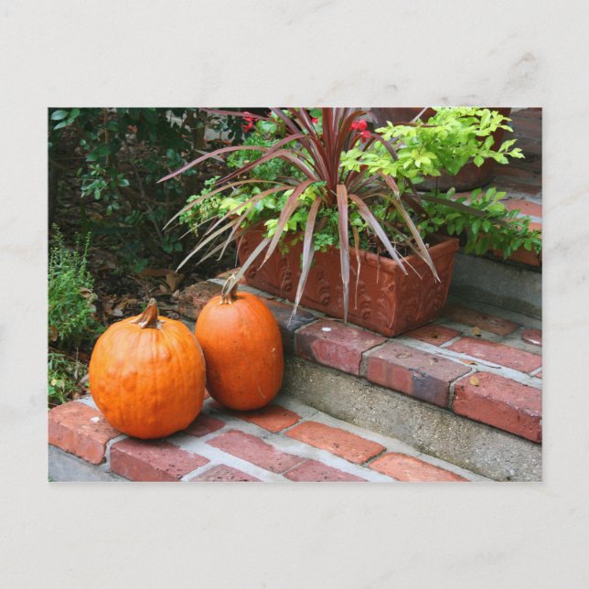 pumpkins brick steps planter fall halloween autumn postcard (Front)