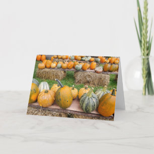 Pumpkins Card