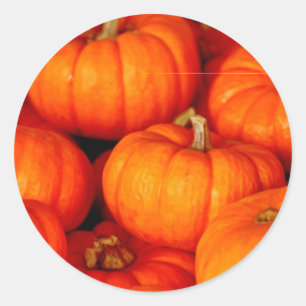 Pumpkins Classic Round Sticker