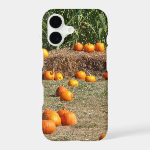 Pumpkins, Corn and Hay Autumn Harvest Photography