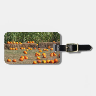 Pumpkins, Corn and Hay Autumn Harvest Photography Luggage Tag