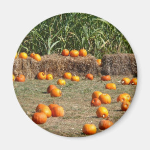 Pumpkins, Corn and Hay Autumn Harvest Photography Magnet