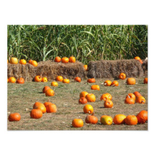Pumpkins, Corn and Hay Autumn Harvest Photography Photo Print