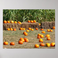 Pumpkins, Corn and Hay Autumn Harvest Photography
