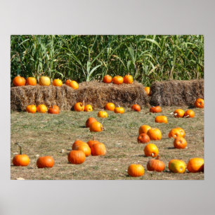 Pumpkins, Corn and Hay Autumn Harvest Photography Poster