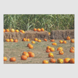 Pumpkins, Corn and Hay Autumn Harvest Photography Tissue Paper