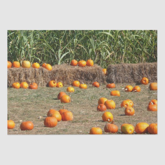 Pumpkins, Corn and Hay Autumn Harvest Photography Tissue Paper (Front)