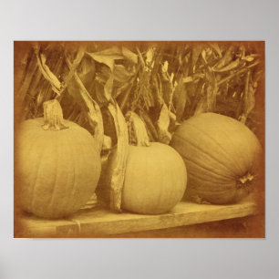 Pumpkins Cornstalks Fall Vintage Look Poster