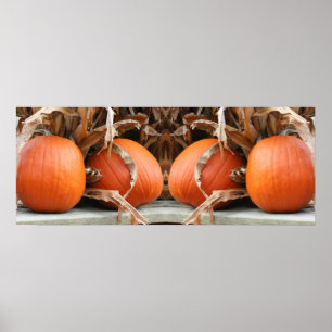 Pumpkins Dried Corn Stalks Mirror Abstract Poster