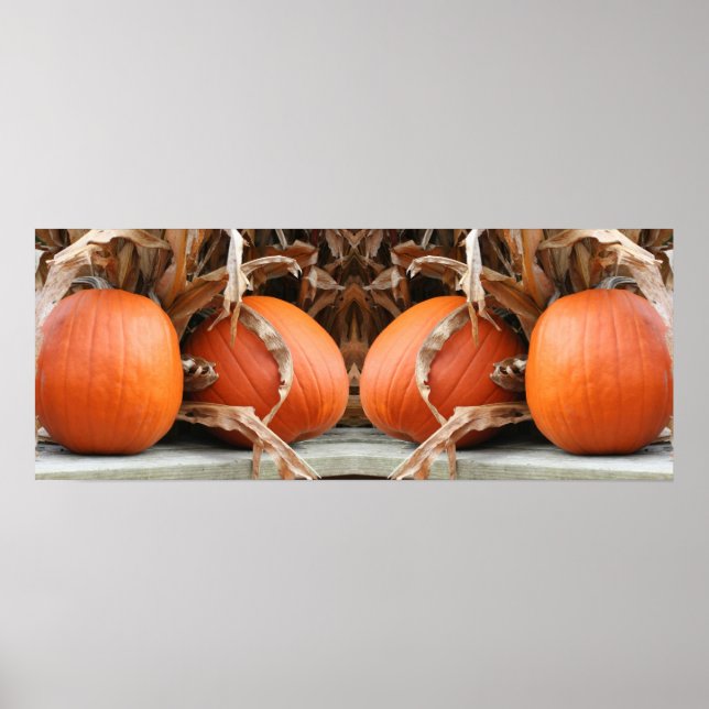 Pumpkins Dried Corn Stalks Mirror Abstract Poster (Front)