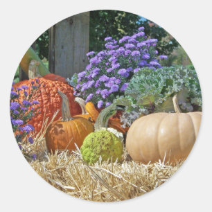 Pumpkins Fall Autumn Purple Flowers Peace Love Art Classic Round Sticker