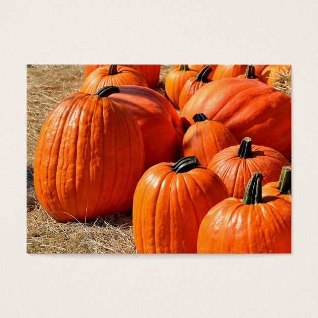 pumpkins for sale (Front)