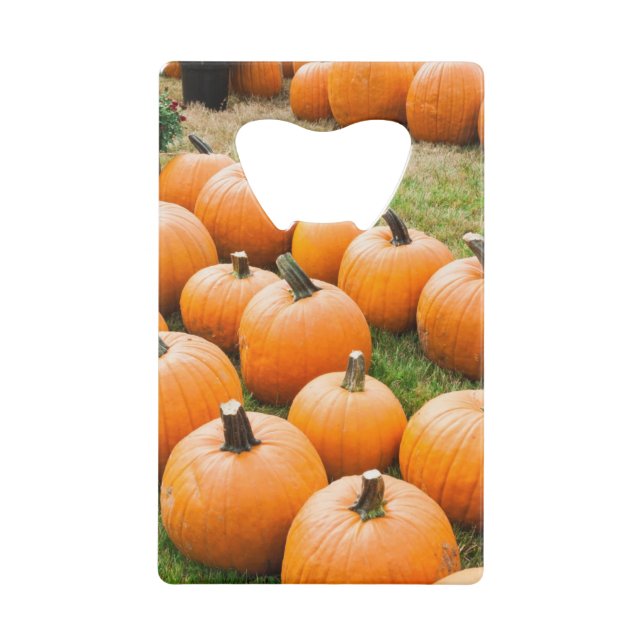 Pumpkins for Sale at a Farmer's Market (Front)