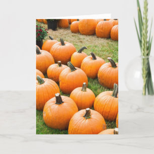 Pumpkins for Sale at a Farmer's Market Card
