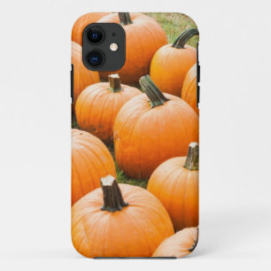 Pumpkins for Sale at a Farmer's Market iPhone 11 Case