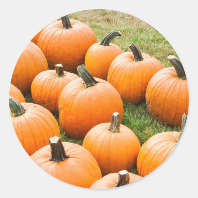 Pumpkins for Sale at a Farmer's Market Classic Round Sticker (Front)