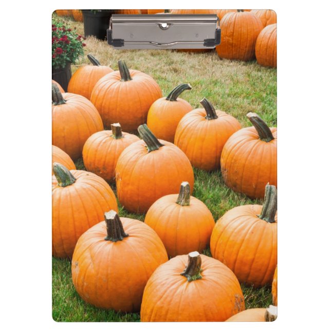 Pumpkins for Sale at a Farmer's Market Clipboard (Front)