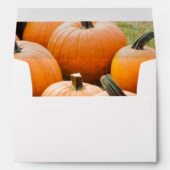 Pumpkins for Sale at a Farmer's Market Envelope (Back (Bottom))
